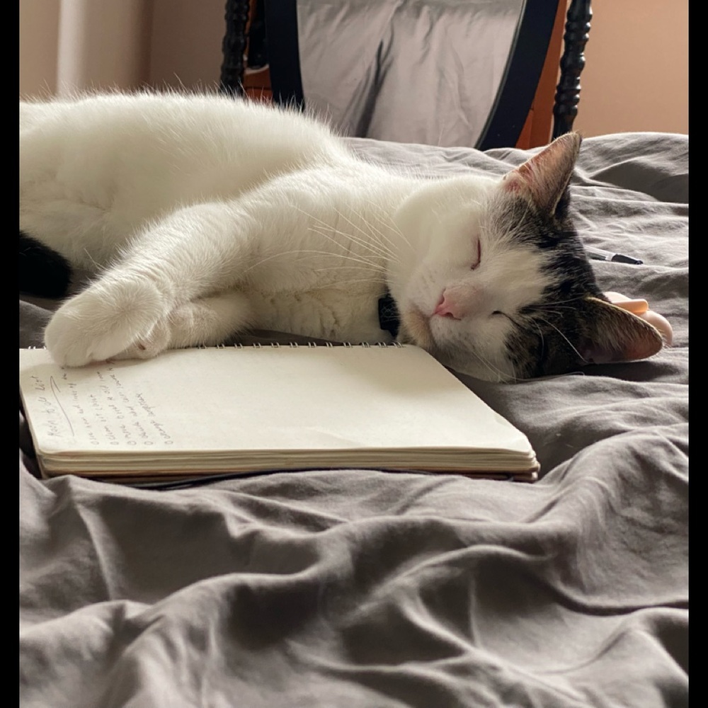 Meet your Posher, Lauren